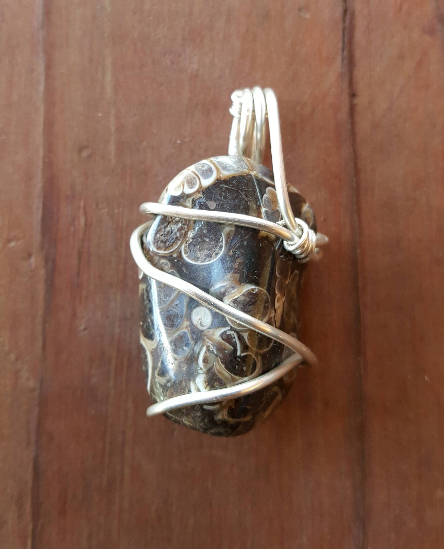 Argentium Silver Twisted Wire Pendant Wrapped Wire Turritella Fossil Agate Black Gray Shells