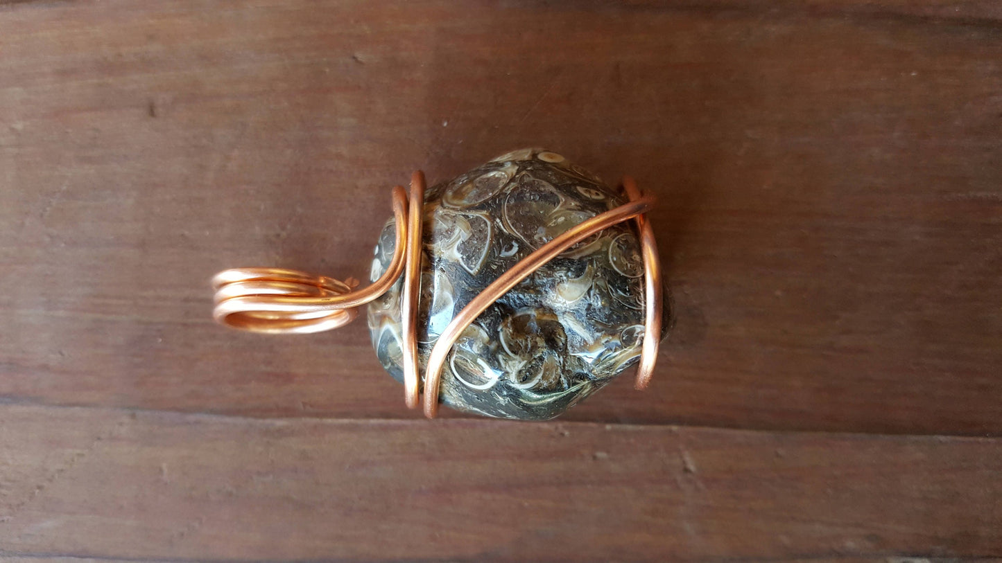 Pure Copper Twisted Wire Pendant Wrapped Wire Black Gray White Turritella Fossil Shell Agate