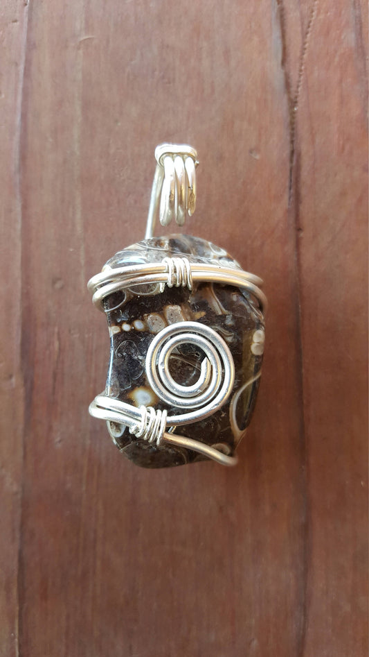 Argentium Silver Twisted Wire Pendant Wrapped Wire Turritella Fossil Agate Black Gray Shells