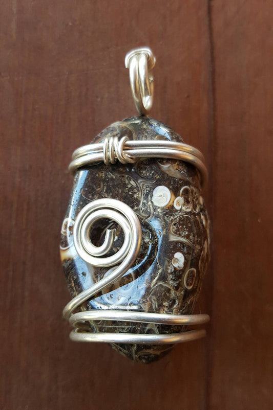 Argentium Silver Twisted Wire Pendant Wrapped Wire Turritella Fossil Agate Black Gray Shells